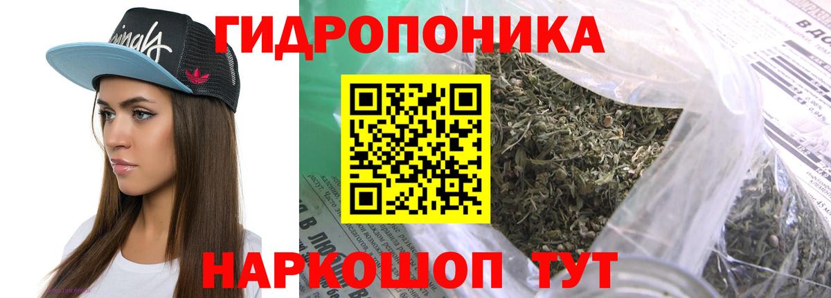Канабис тримм  Конопля план  Котельники  Вход с VPN 